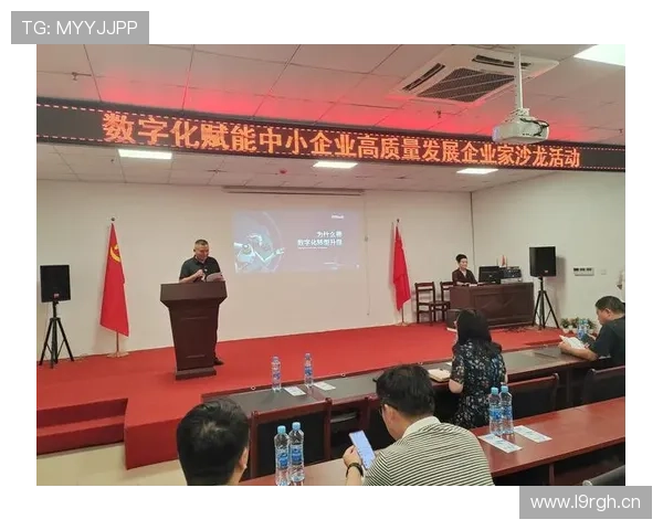 企业家磊引领创新格局推动产业高质量转型升级发展蓝图全面展开势